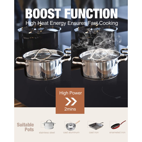 Weceleh Induction 2 Burner Cooktop (No Plug) Wayfair